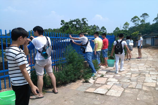 上图为队员们清洗护栏