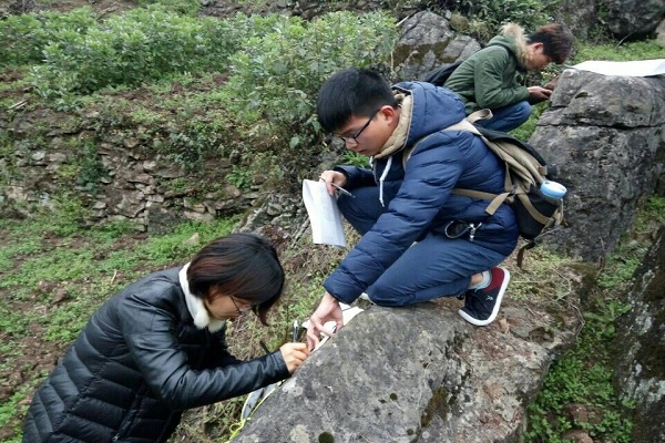野外实习工作