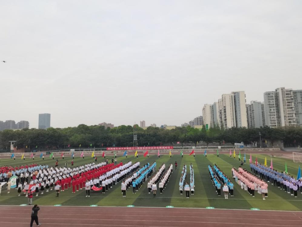 图片包含 户外, 草, 人们, 城市描述已自动生成